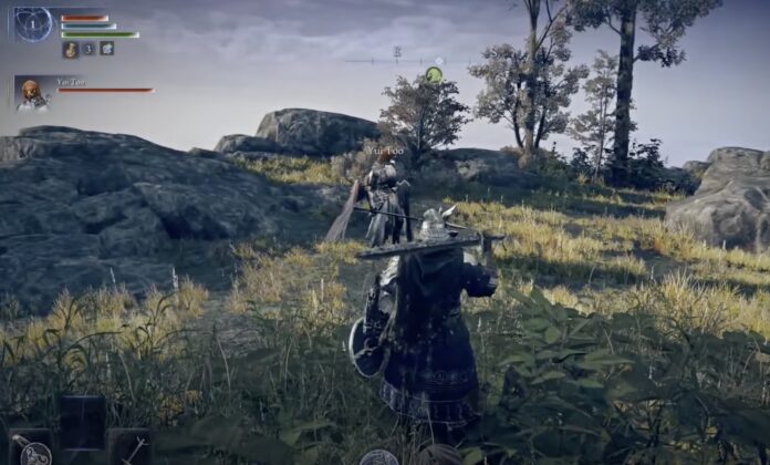 ภาพจากเกม Elden Ring Nightreign เวอร์ชันม็อดบน PC แสดงการเล่นแบบสองคนด้วยโหมดดูโอที่พัฒนาโดย Luke Yui