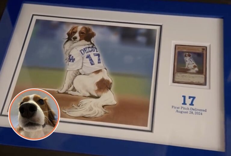 Shohei Ohtani อวดการ์ดยูกิของสุนัขตัวโปรด ที่ได้ลงสนามขว้างลูกเปิดเกมให้กับทีม Dodgers