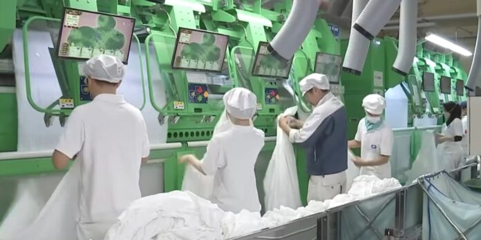 ภาพพนักงานของบริษัท Maruwa กำลังทำงานอย่างขะมักเขม้น