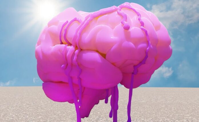 ก้อนสมองสีชมพูสดลักษณะเหมือนกำลังละลาย มีของเหลวไหลย้อย ตั้งอยู่กลางพื้นโล่งใต้ท้องฟ้าสีฟ้า