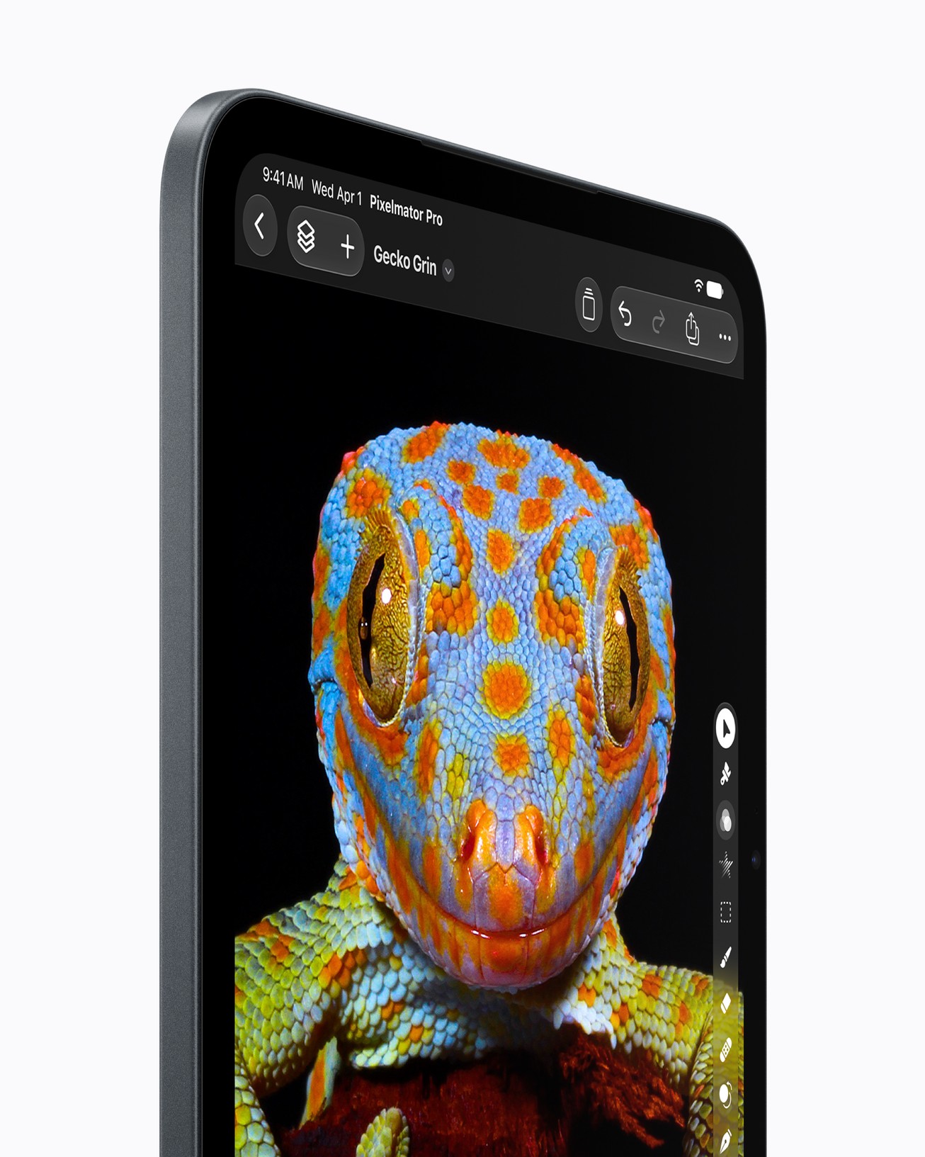 ภาพตุ๊กแกสีสดบนจอ Super Retina XDR ของ iPad mini